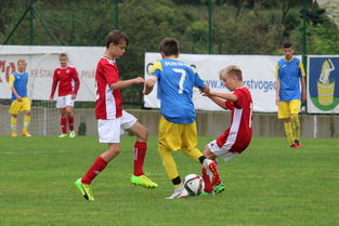 九游娱乐官方平台-“福乐球决战开启，新都香城体育中心见证精彩”  第2张